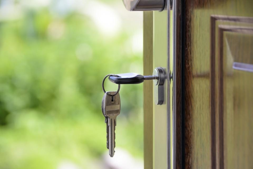A key in the lock of an open door, with greenery behind