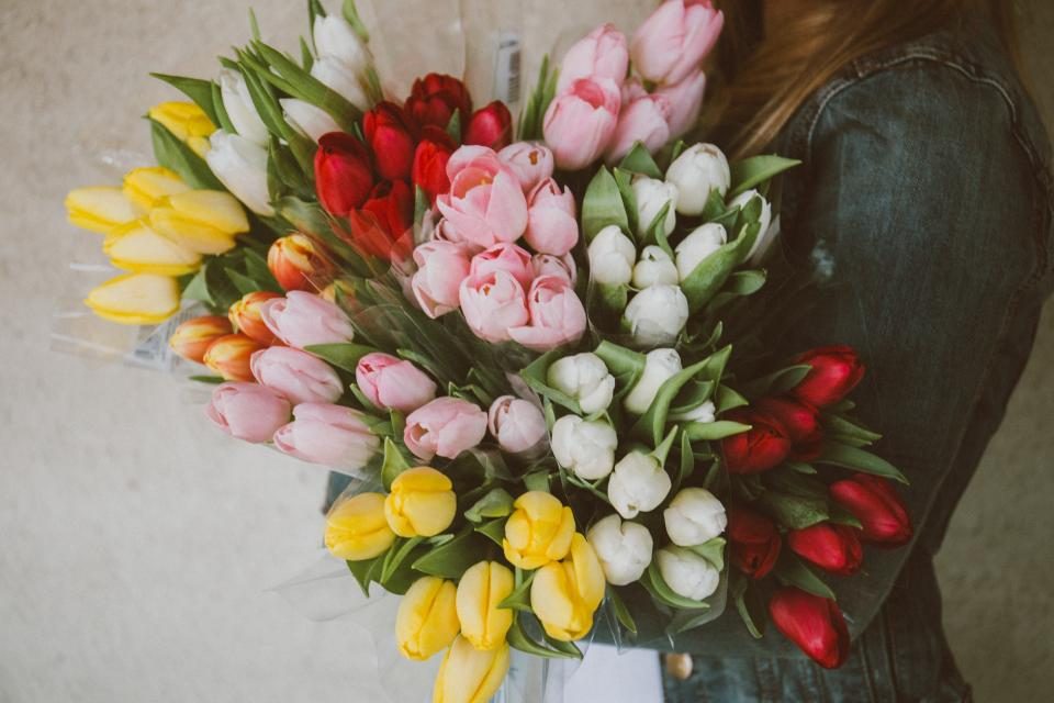 A bouquet of red, pink, yellow and white tulips