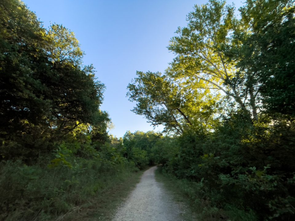 A gravel path running through trees under a blue sky
